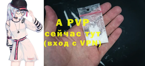 PSILOCYBIN Беломорск