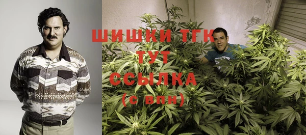 соль курить ск Белокуриха