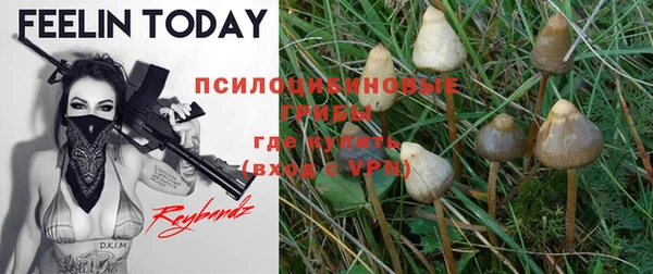 MDMA Premium VHQ Белоозёрский