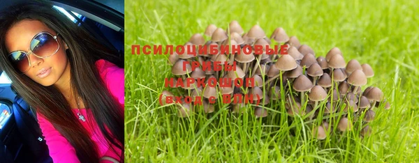 крисы Сафоново