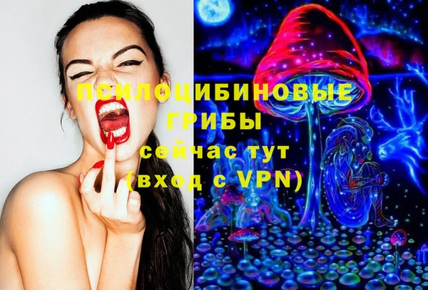 соль курить ск Белокуриха