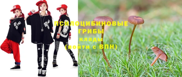 соль курить ск Белокуриха
