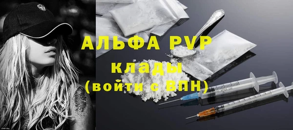 PSILOCYBIN Беломорск