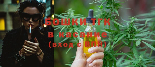 индика Сатка