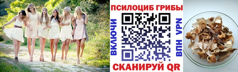 Псилоцибиновые грибы Psilocybine cubensis  купить наркотики сайты  Заозёрный 